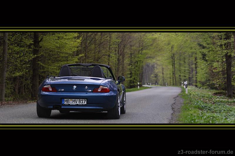 into the spring