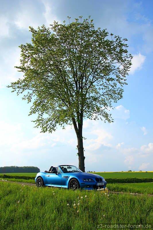 Baum