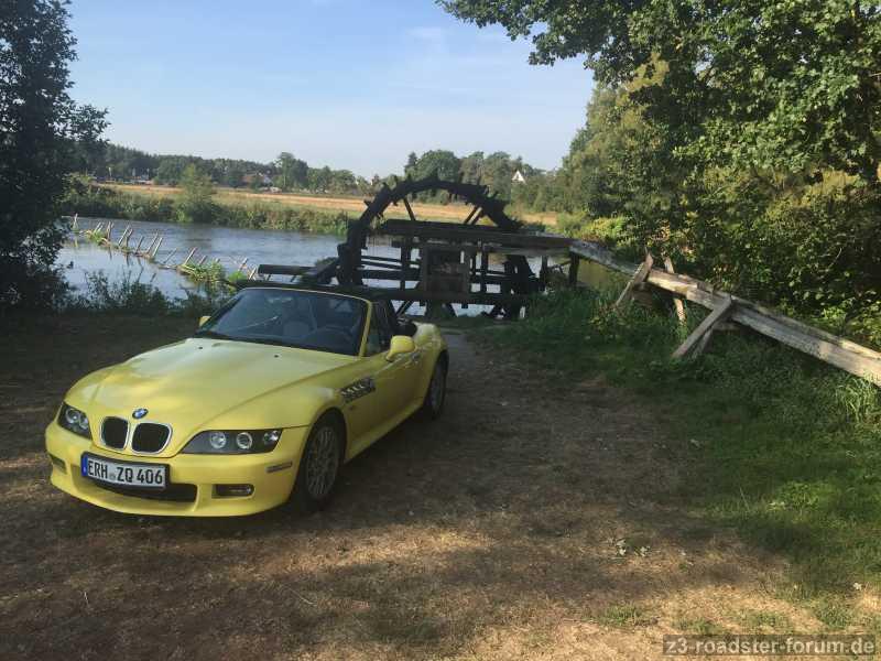 Tweety an einem Möhrendorfer Wasserrad