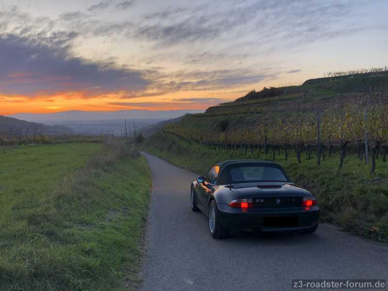 Vogesen und Weinberge