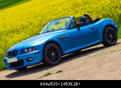 Rapsfelder in der Steinpfalz