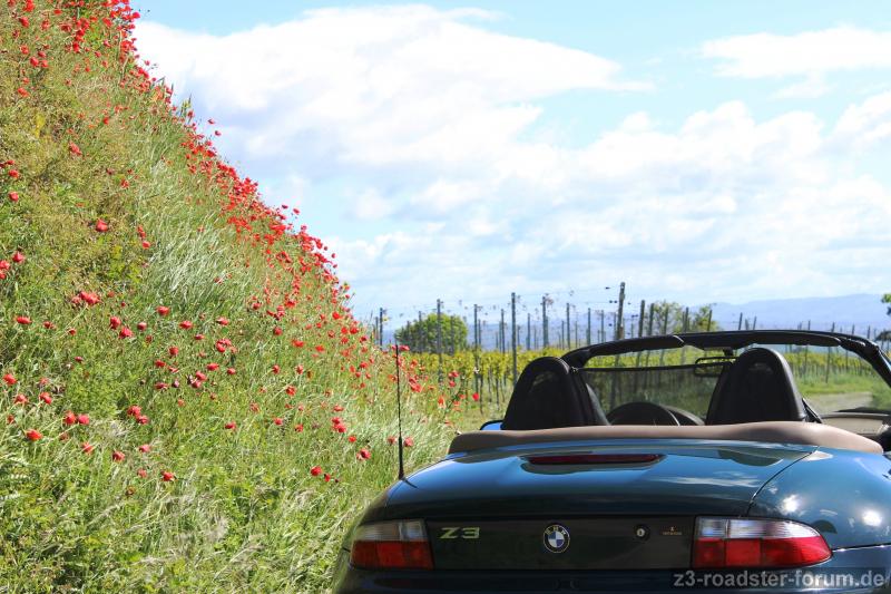 irgendwann kommt der Frühling