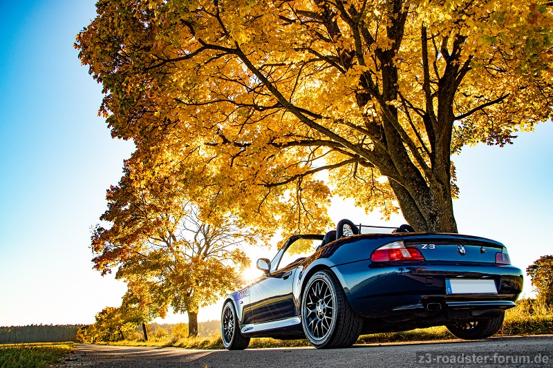 Herbstnachmittag