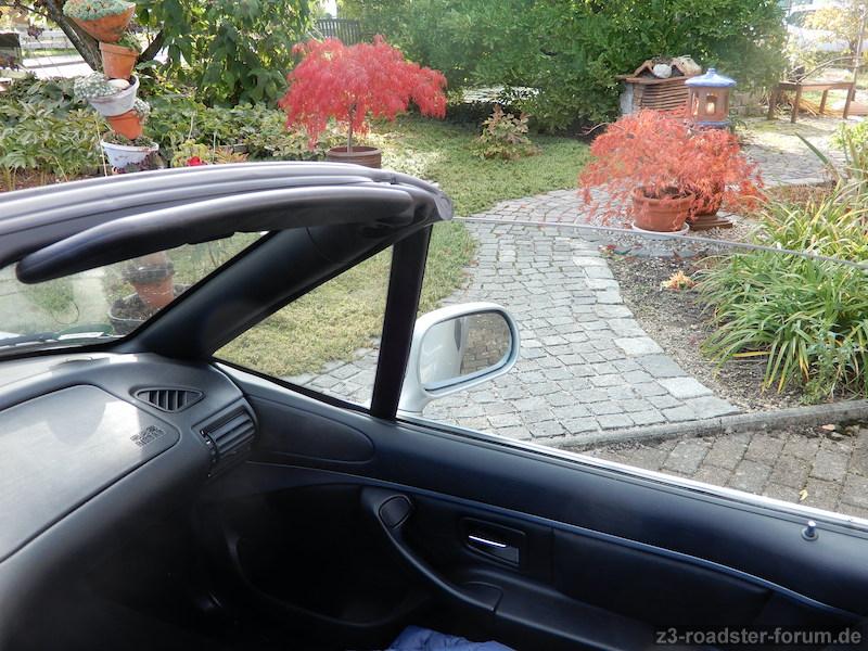 Herbstluft atmen