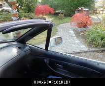 Herbstluft atmen