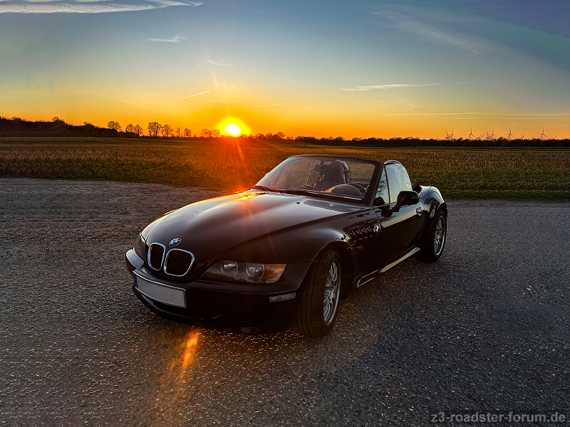Free-Willi @Strawberry-Field in the SunSet