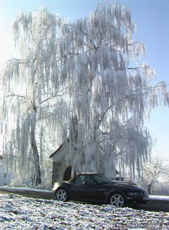Winterbild
