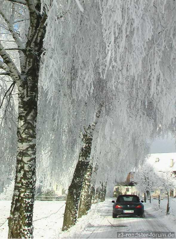 Winterbild nochmal eins ;-)