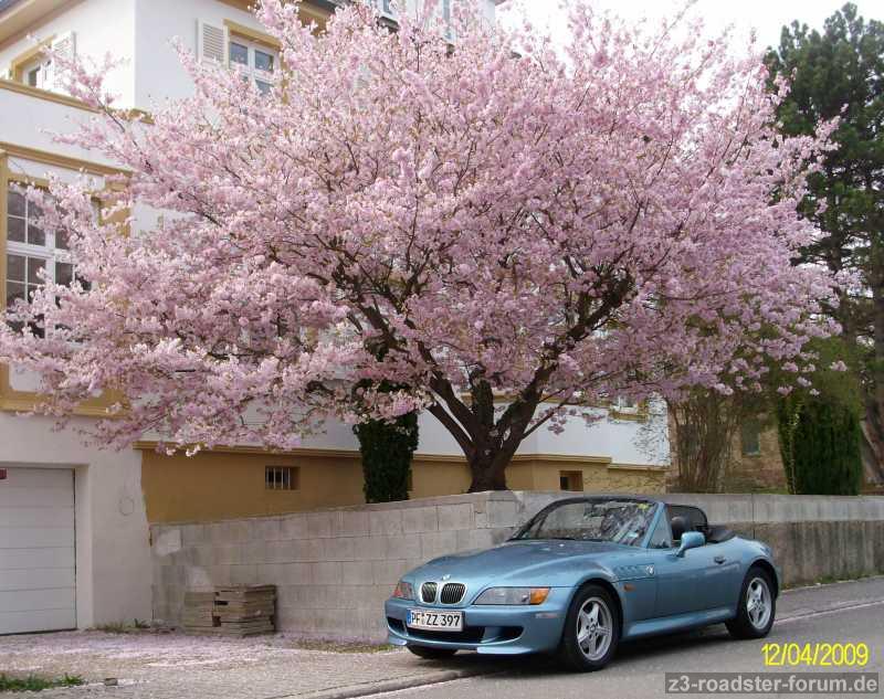 2009 - Frühling in Pforzheim II