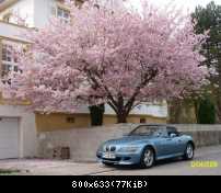 2009 - Frühling in Pforzheim II