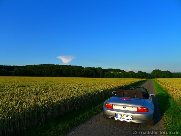 Sommerabend Juli 14, bei Hörste / Teutoburger Wald
