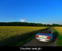Sommerabend Juli 14, bei Hörste / Teutoburger Wald