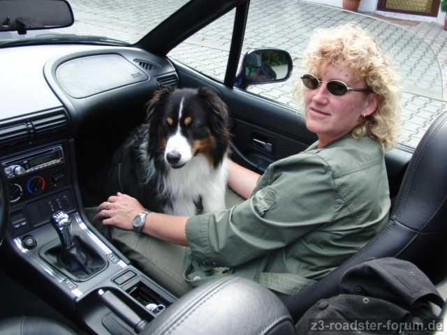 Probesitzen mit Hund
