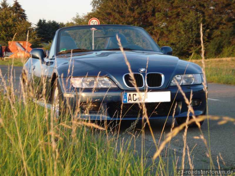 Sommer 2011