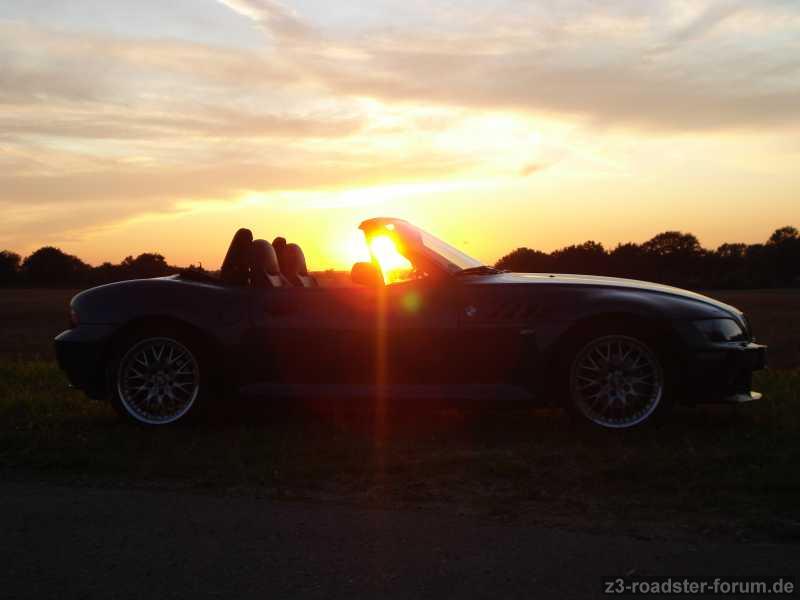 Sommer 2011