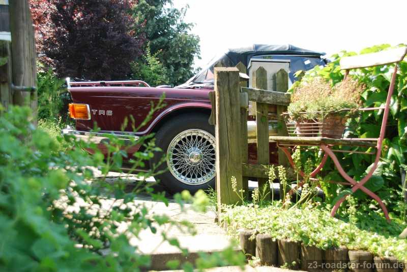 TR6 im Garten
