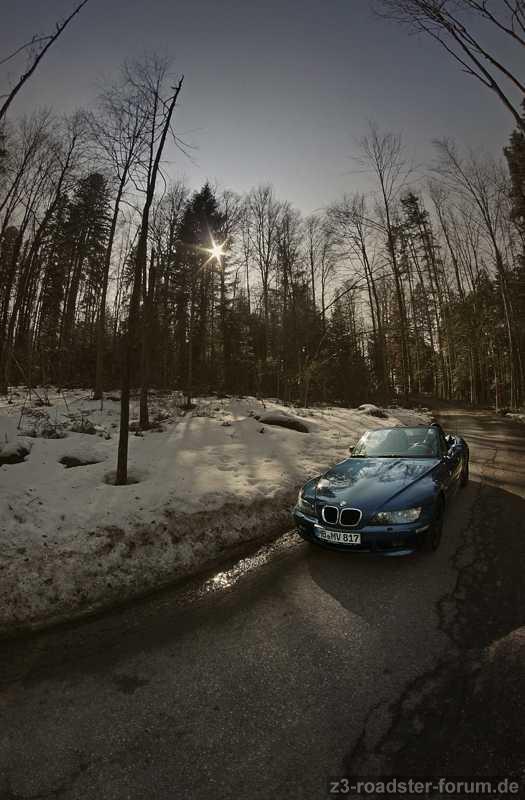 Z3 im wald