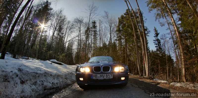 Z3 im wald