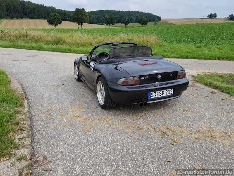 Zetti 7