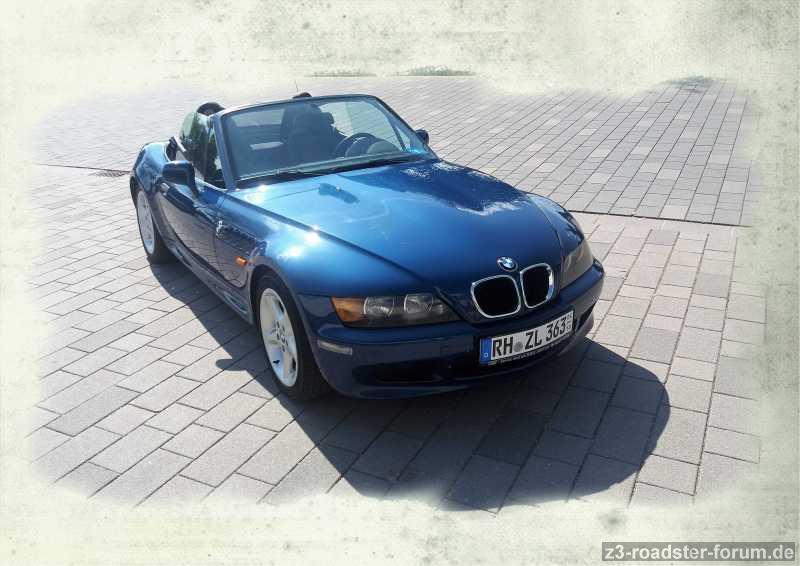 Zetti 31 (2)