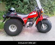 Bigred