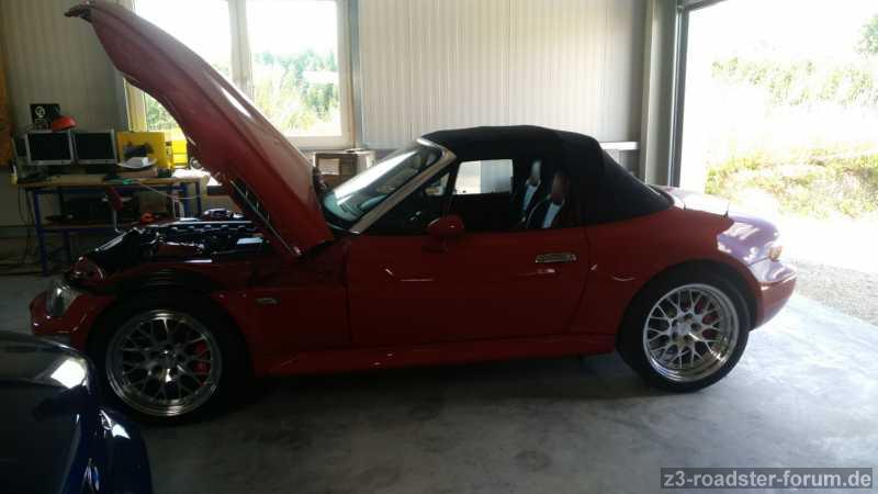 Z31