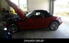Z31