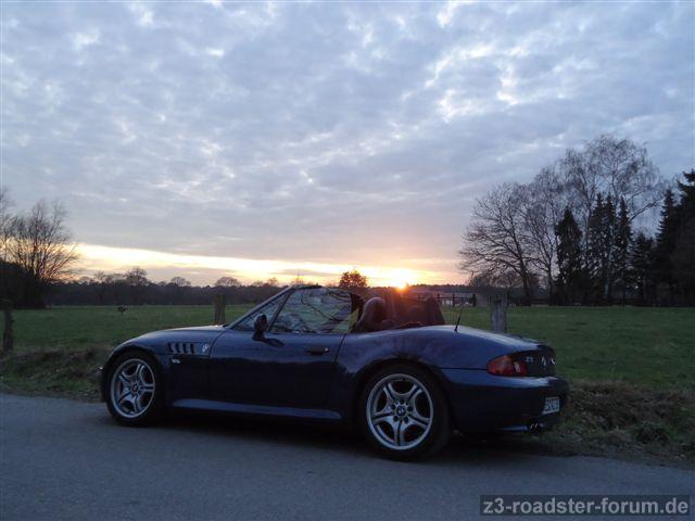 Zetti im Sonnenuntergang am Niederrhein...