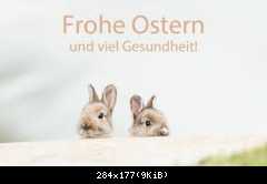 29783BE7-2438-4D38-97AD-EAF216995F06