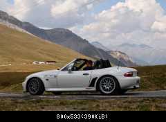 Stelvio in Motion