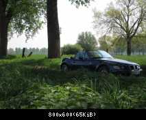 Waldgeflüster-1