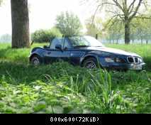 Waldgeflüster-2