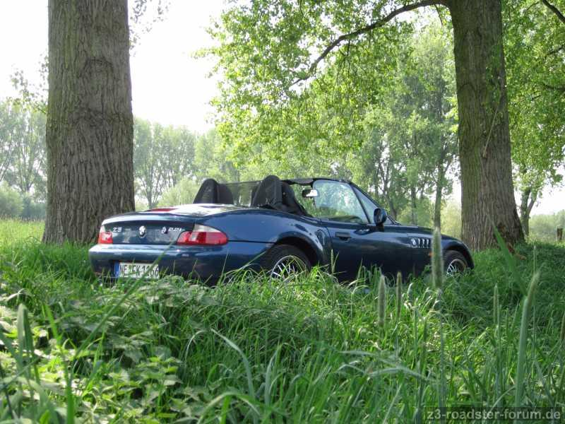 Waldgeflüster-3
