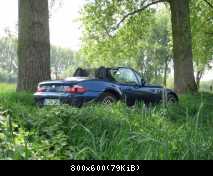 Waldgeflüster-3