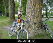 am Bodensee
