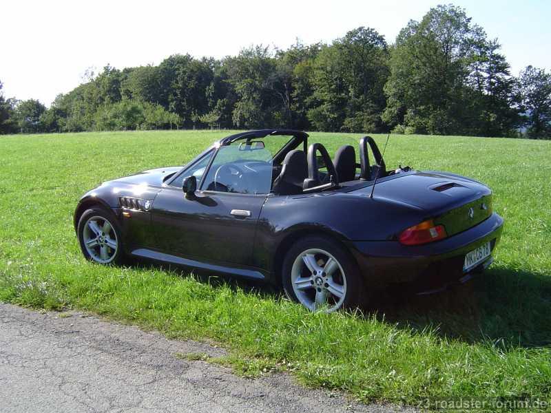 Meine Lieblingswiese für Fotos