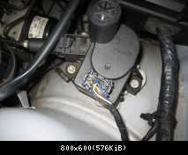 IMG 8074