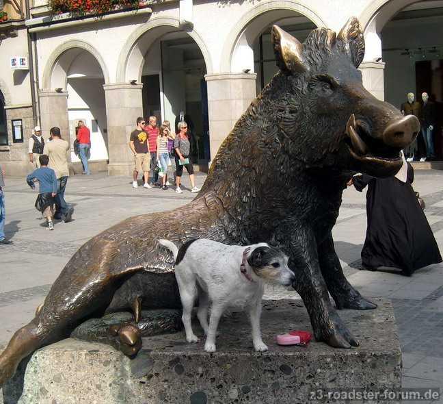 Mein Schutzhund