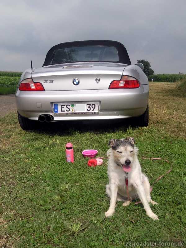 Nach dem Spaziergang