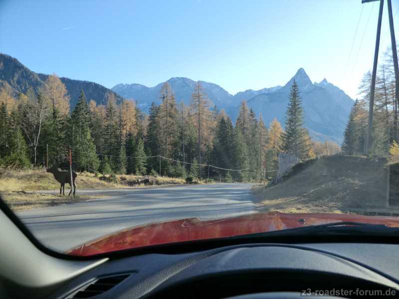BMW Z4 Ausfahrt 12.11.2011
