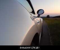 Seitenlinie
