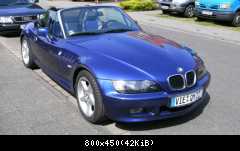 Z3 herbertoni