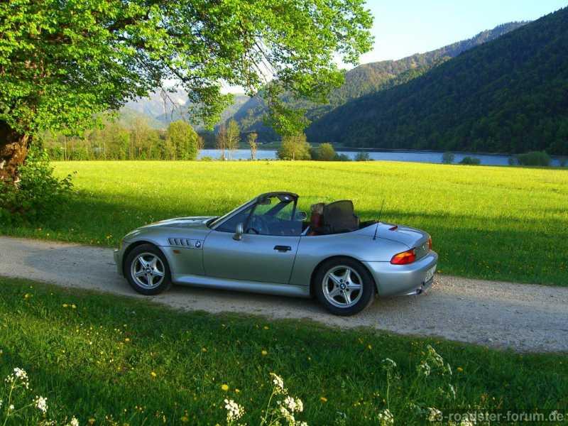 Zetti im Frühling