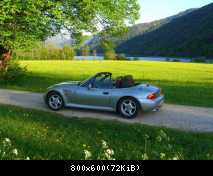 Zetti im Frühling