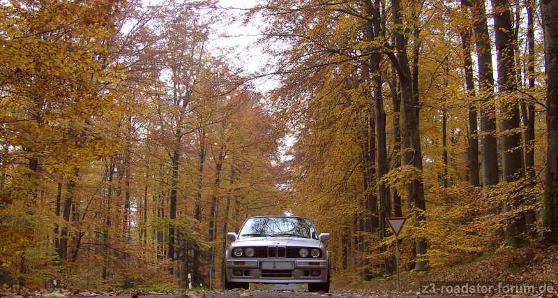 325i M Technik II