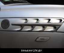 Kiemen Edelstahl Poliert