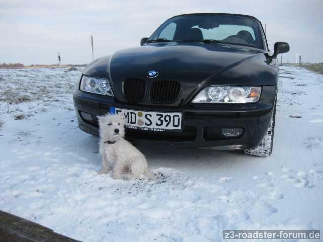 Beide lieben den Schnee!!!