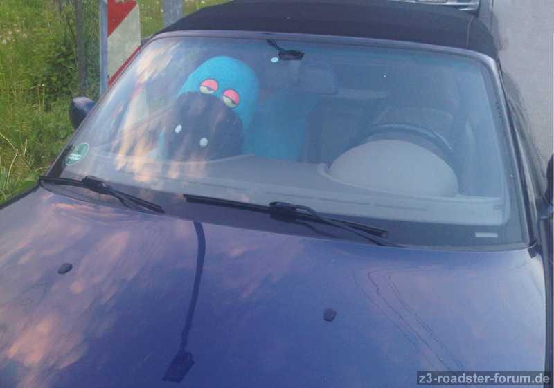 Alle sagen, mein Auto sei so klein..... dabei passt ein ganzer Dino rein :D