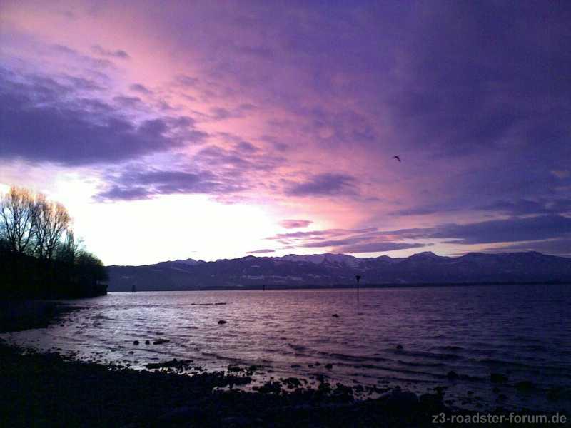 ...Morgenstimmung...