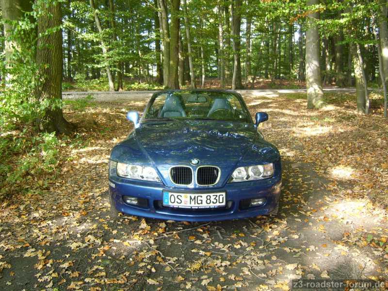 Herbstlaune 2